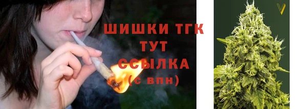 соль ск Лагань