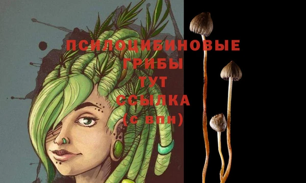 кокаин колумбия Лабытнанги