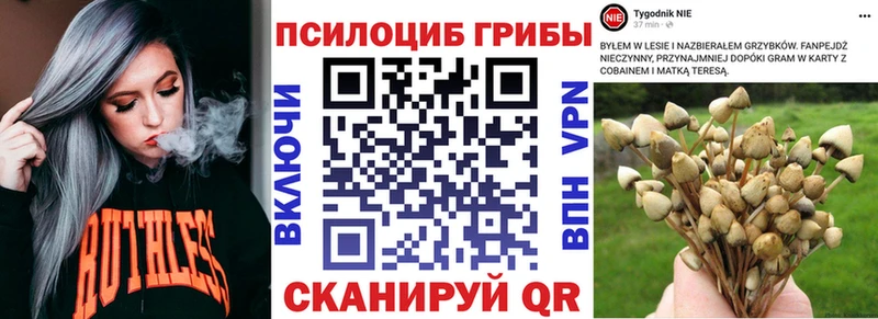 Псилоцибиновые грибы ЛСД  Прокопьевск 