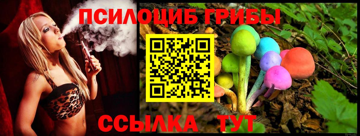 Псилоцибиновые грибы Magic Shrooms  Вход с VPN  Прокопьевск  Галлюциногенные грибы Psilocybine cubensis 